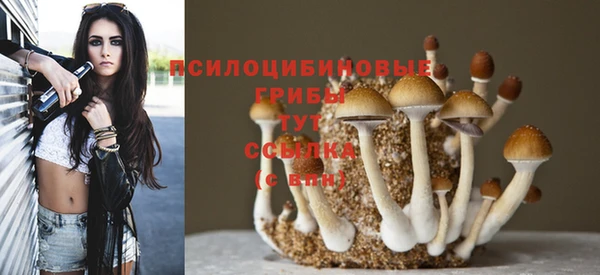 меф Богородицк
