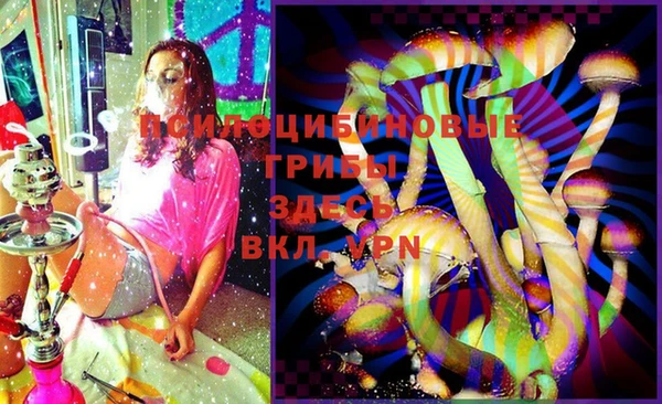 меф Богородицк