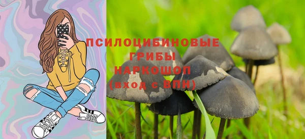 экстази Богородск